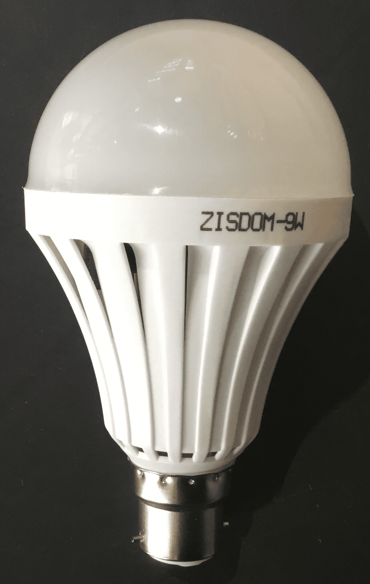 Redisson Rechargeable Emergency Globe