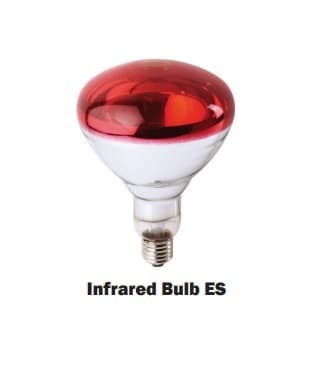 Infrared Bulb